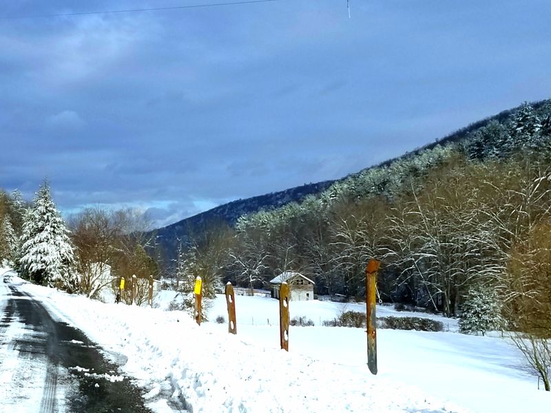 Shenandoah County Back Roads Loop On Routes 11, 600, 675, 42, And 263