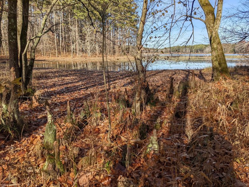 Lake Glendale Recreation Area, Golconda, IL