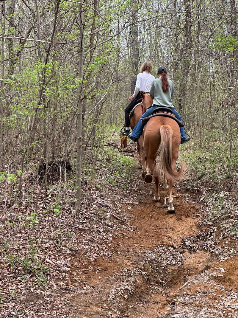Lake Glendale Stables & Equestrian Center