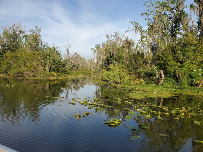 Lake Griffin, Fruitland Park Lake Griffin, Fruitland Park