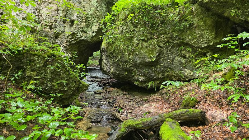 Fort Hill Earthworks and Nature Preserve, Hillsboro, OH
