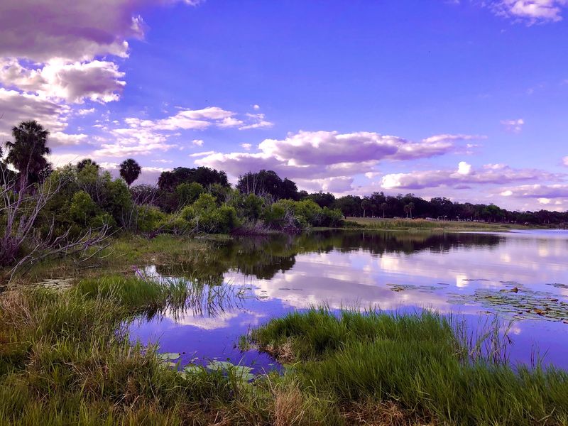 Lake Kissimmee State Park Brings Out Your Inner Cowboy