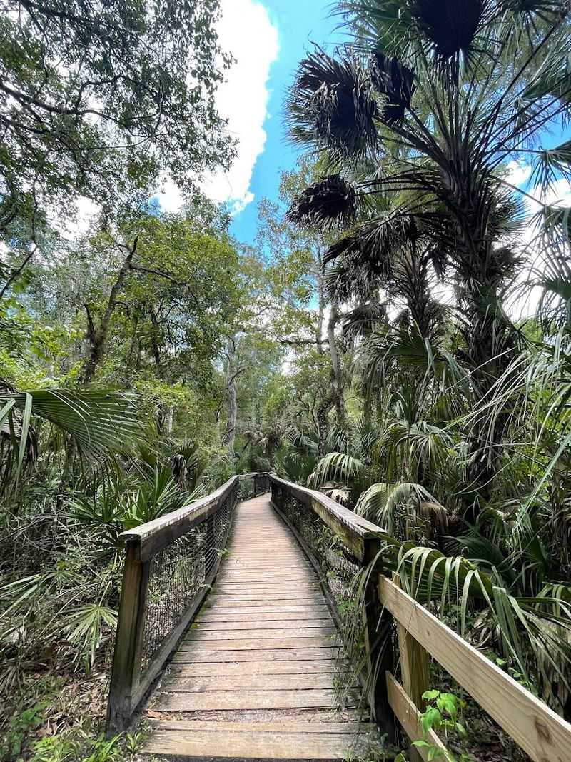 Hillsborough River State Park Campground, Thonotosassa