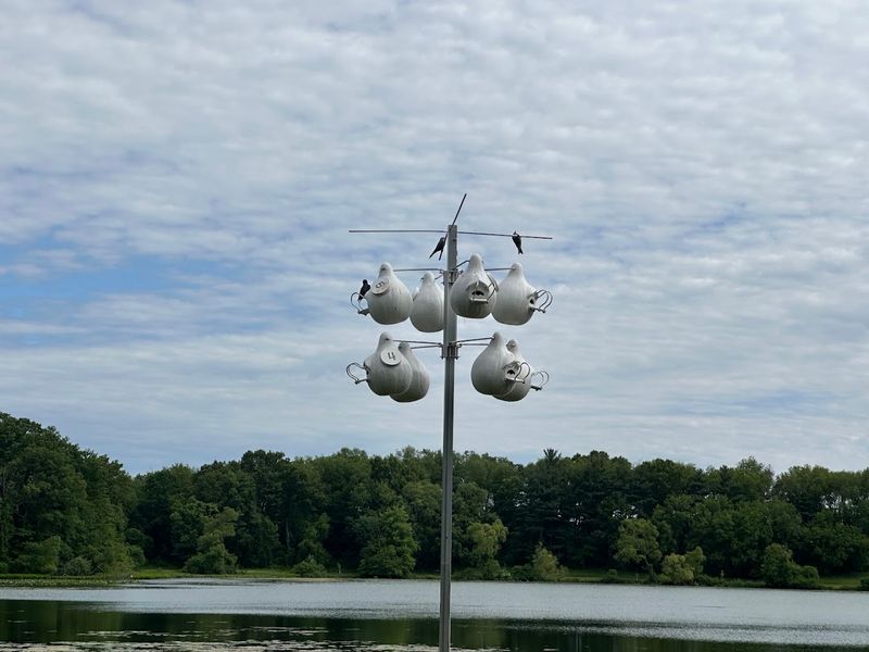 Bluebird Trail And The North Country Link