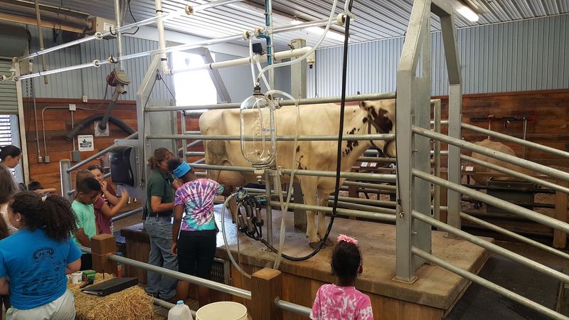Lake Metroparks Farmpark, Kirtland