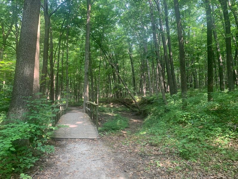 Moraine View State Park, Near LeRoy