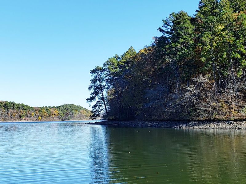 Lake Catherine State Park