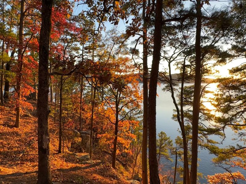 Lake Ouachita State Park, Mountain Pine Lake Ouachita State Park, Mountain Pine