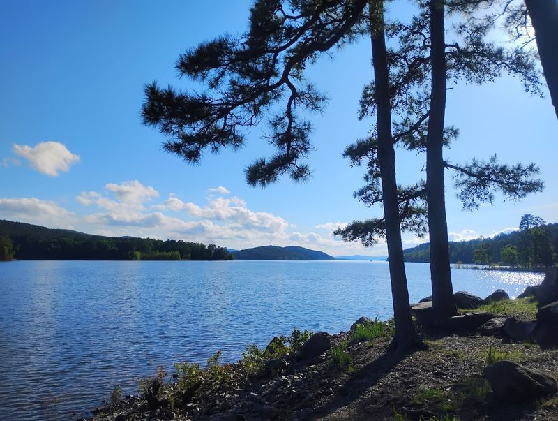 Lake Ouachita State Park, Mountain Pine