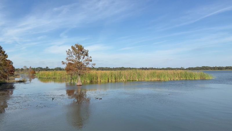 Lake Parker Park, Lakeland