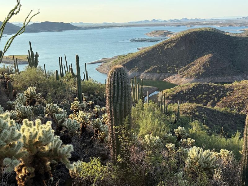 Lake Pleasant Regional Park, Morristown, AZ