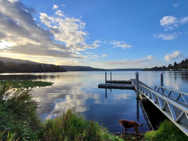 Lake Sammamish State Park, Issaquah Lake Sammamish State Park, Issaquah