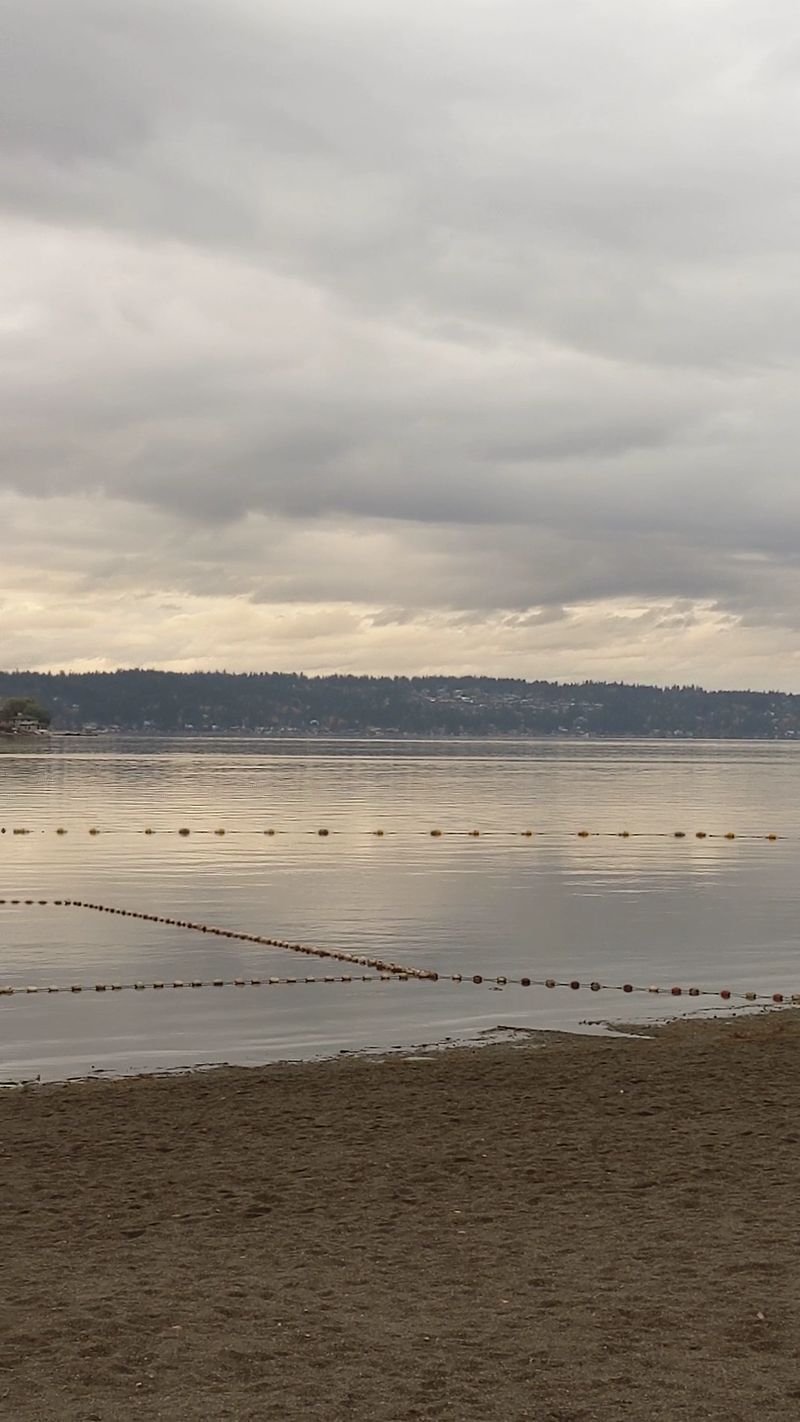 Lake Sammamish State Park, Tibbetts Beach, Issaquah, Washington