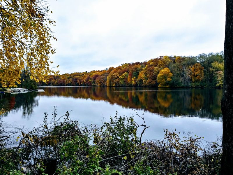 Lake Shore Drive Drops You Beside The Huron Lake Shore Drive Drops You Beside The Huron