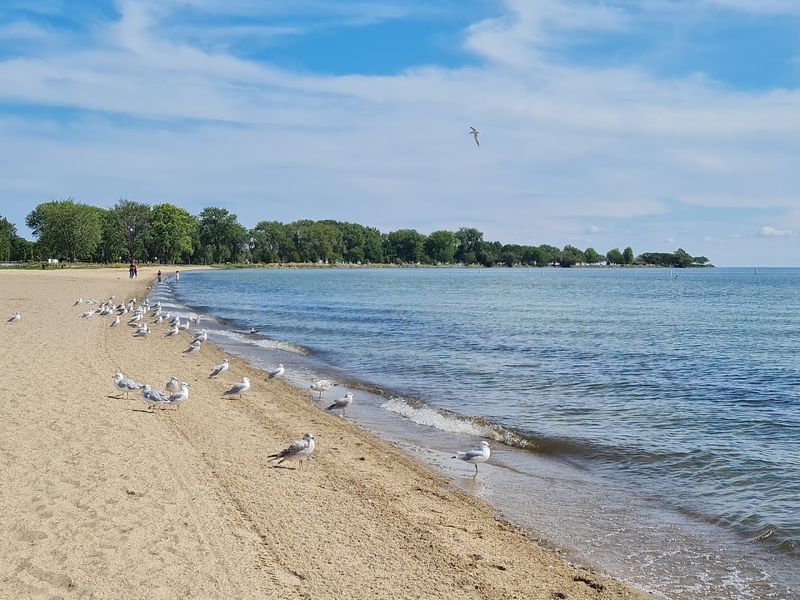 Lake St. Clair Metropark, Harrison Township