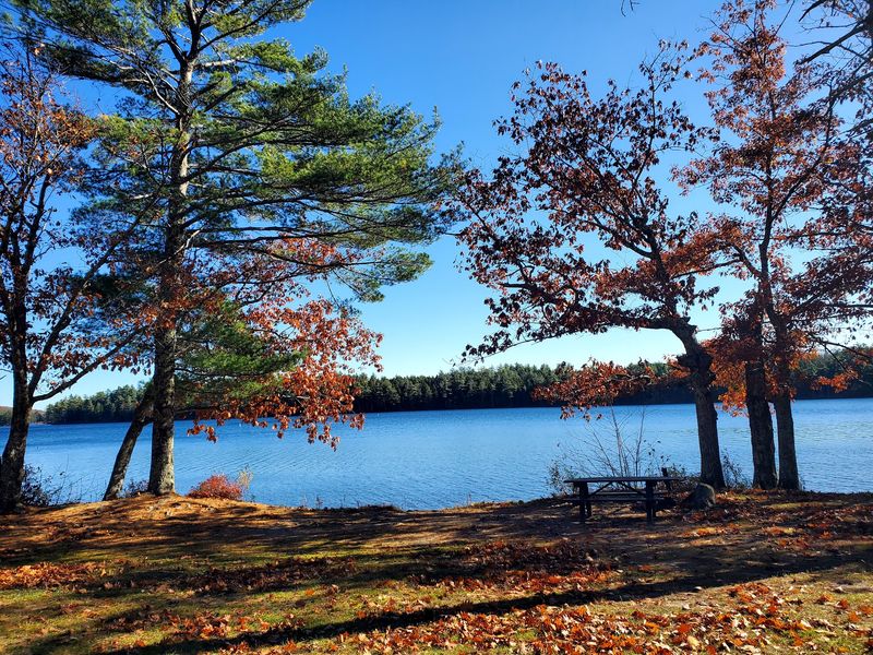 Lake St. George State Park, Liberty