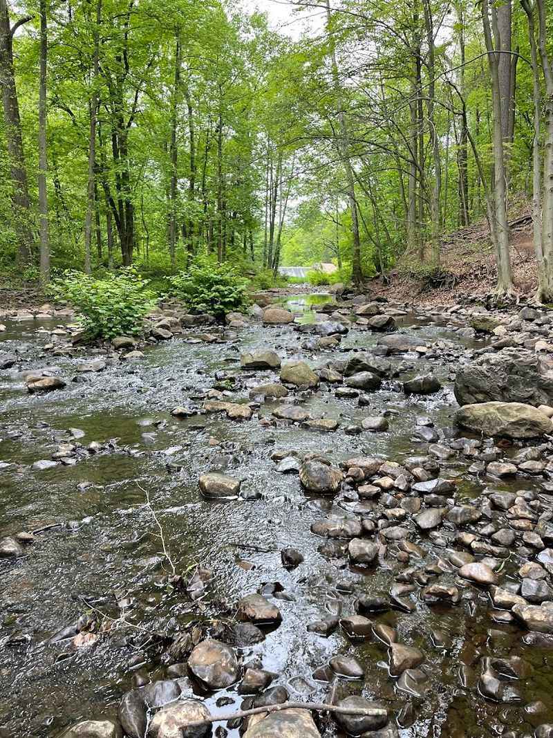 Mosquito River Crossing