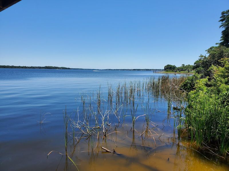 Lake Tarpon