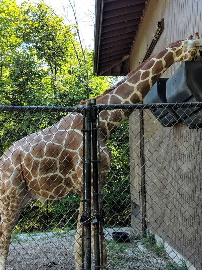Erie Zoo, Erie, Pennsylvania