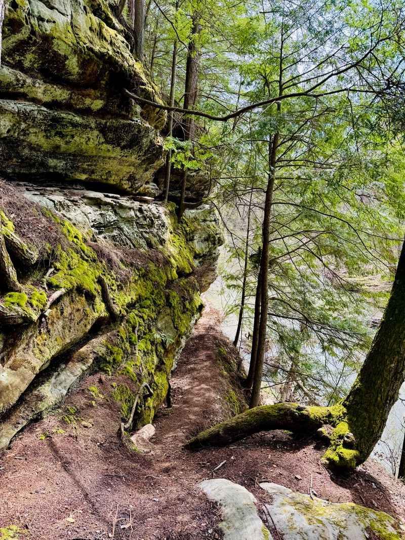 Pine Ridge Trail – Lake Katharine State Nature Preserve, Near Jackson