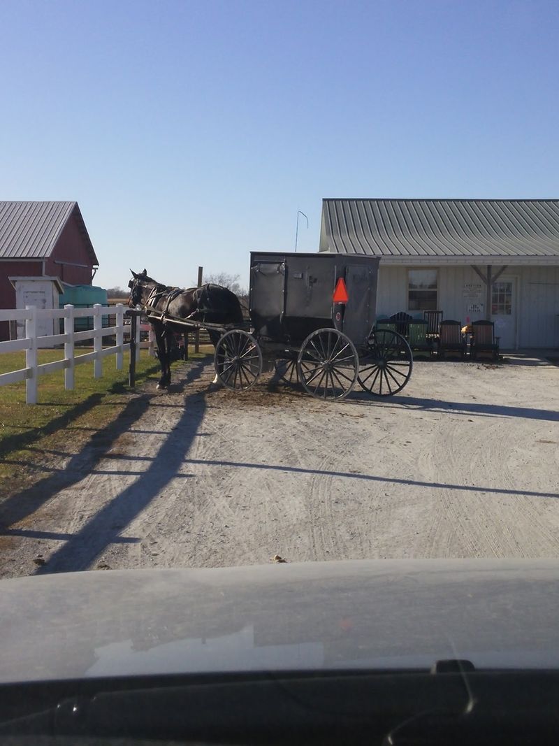 Lake View Grocery (Amish Store)