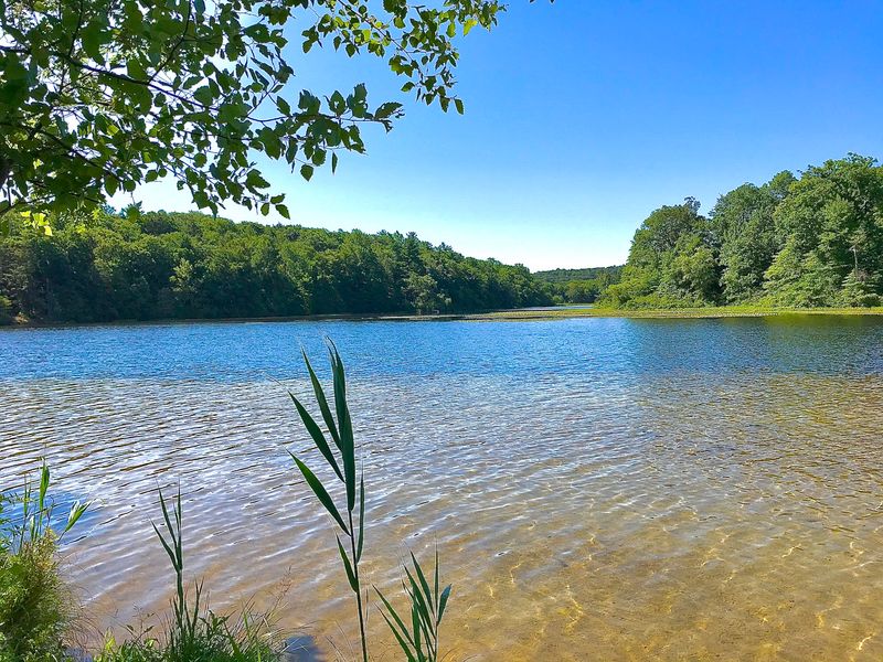 Lake Wawayanda At Wawayanda State Park