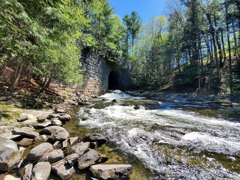 Lake Willoughby Will Make You Question Whether Vermont Is Real