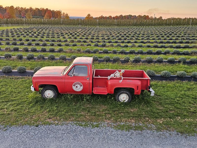 Lakeland Orchard & Cidery, Scott Township