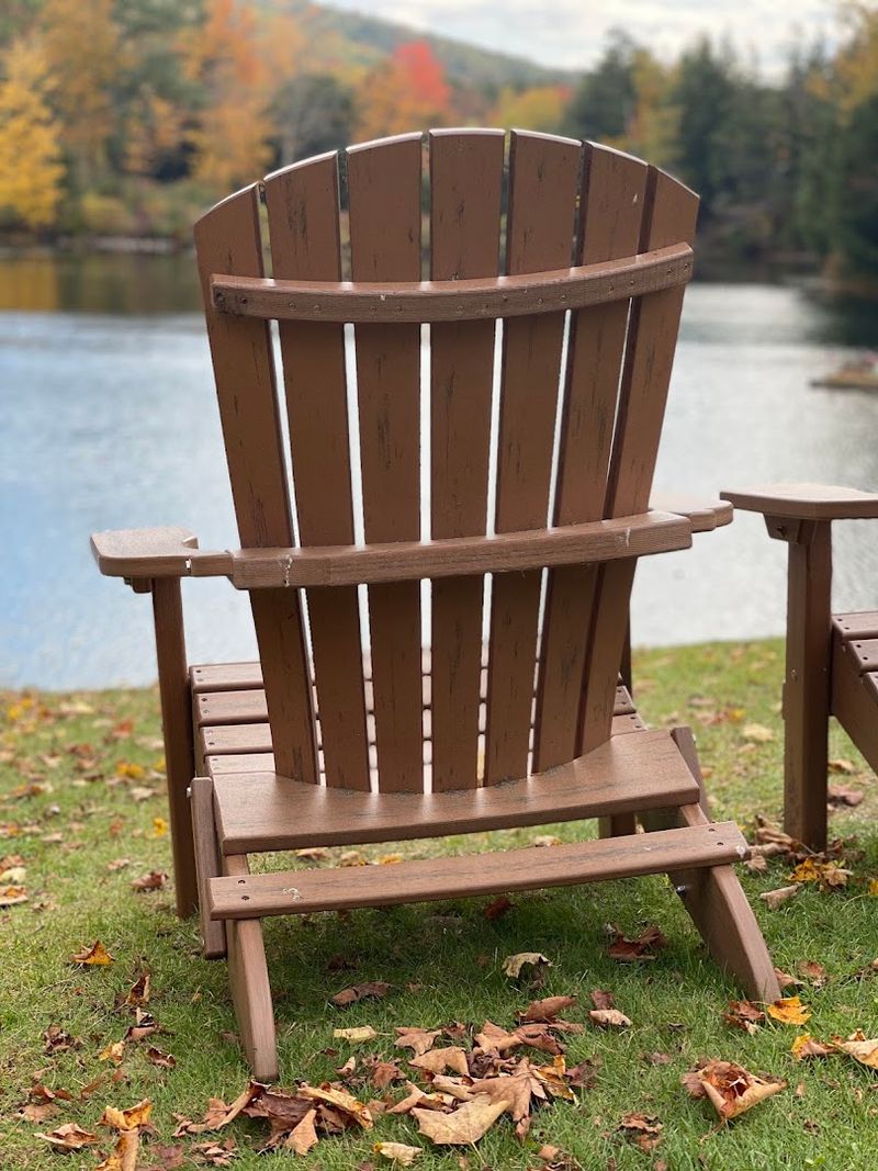 Lakeside Views That Make Every Bite Better
