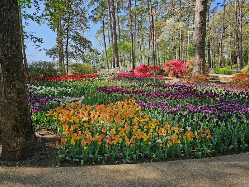 Artful Landscapes With Southern Charm