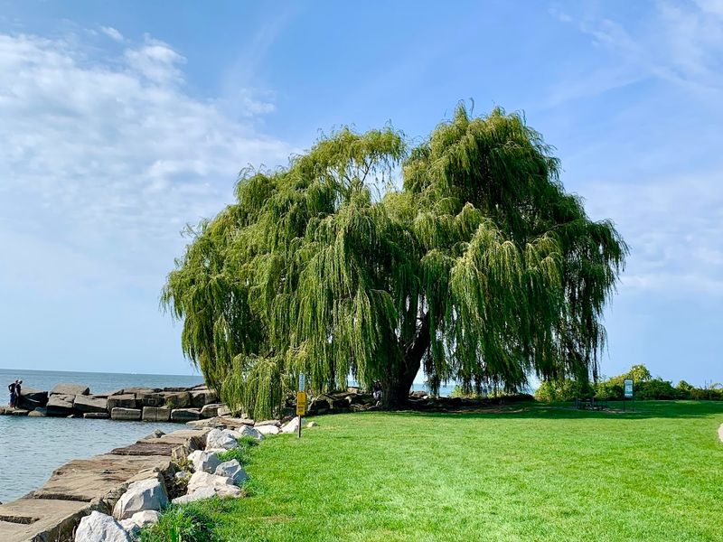 Edgewater Park, Cleveland, OH