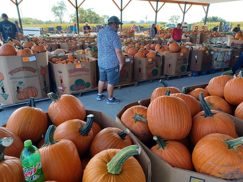 Lamoni Produce Auction