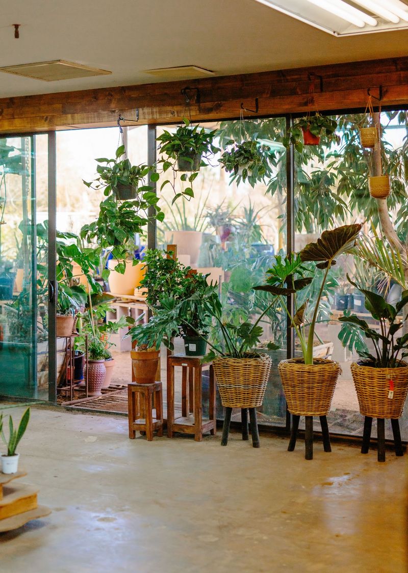 Landscape Design Services Through Dig It Design