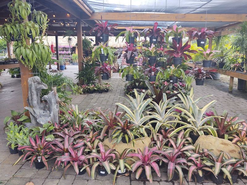 Landscaping Design And In-Home Consultations