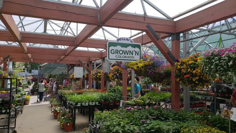 Landscaping Help That Goes Beyond the Sale