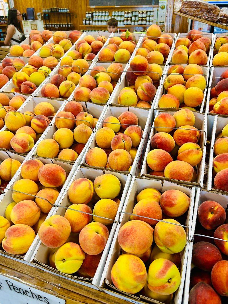 Lane Southern Orchards