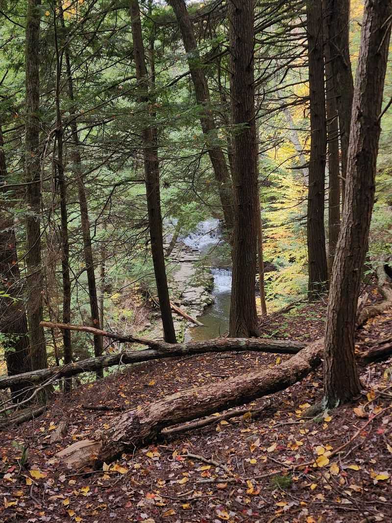Large Boulders Hidden In The Forest Are Worth The Detour To Find