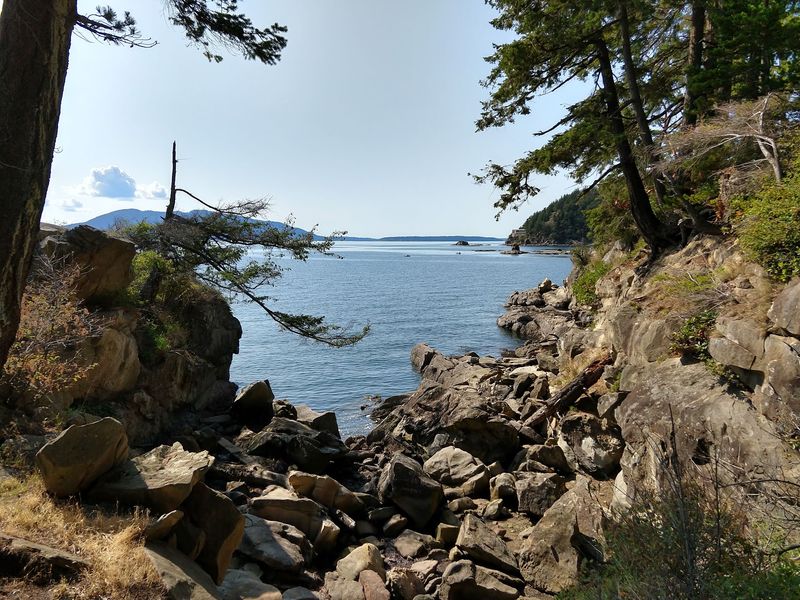 Larrabee State Park, Bellingham, WA