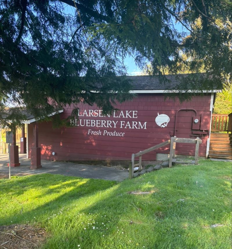 Larsen Lake Blueberry Farm, Bellevue