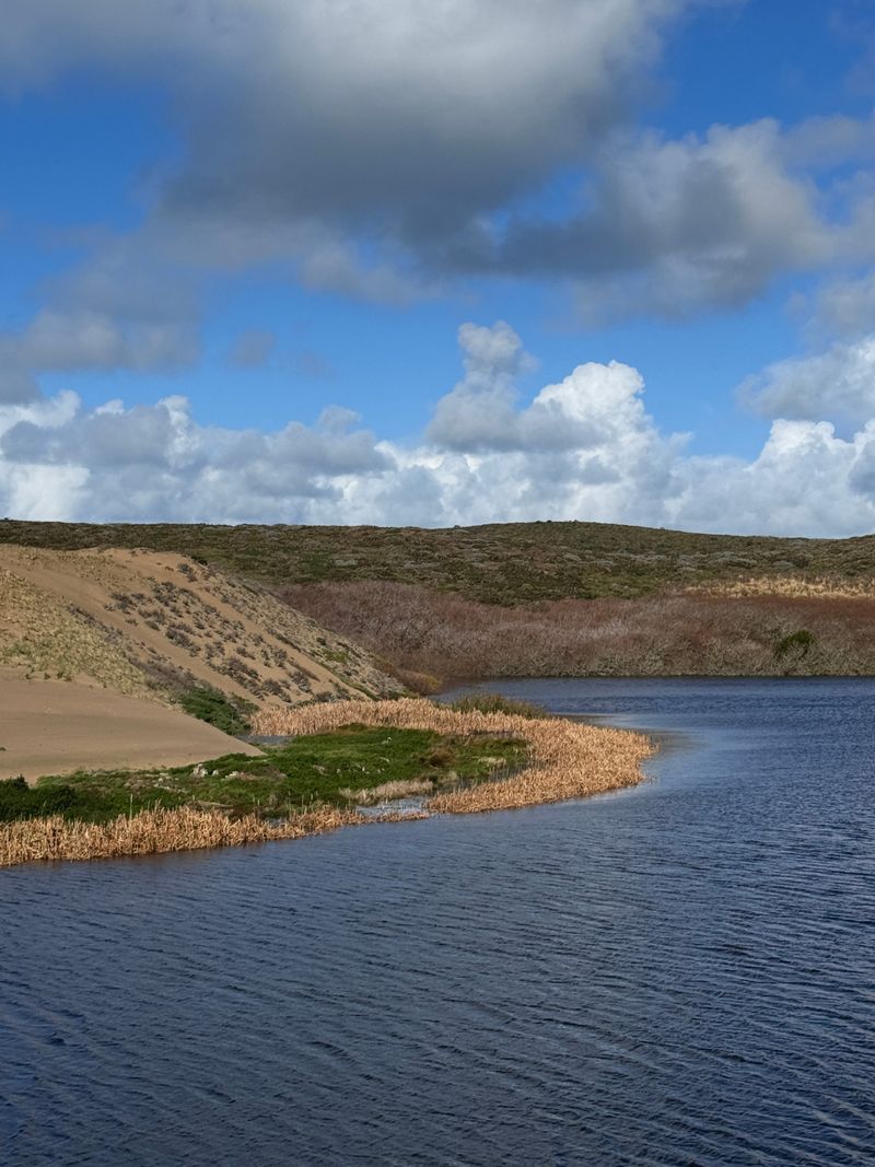 Abbotts Lagoon, Point Reyes Station