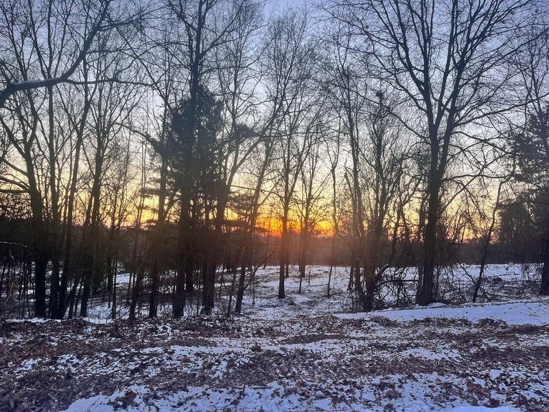 Late Fall May Be The Secret Season