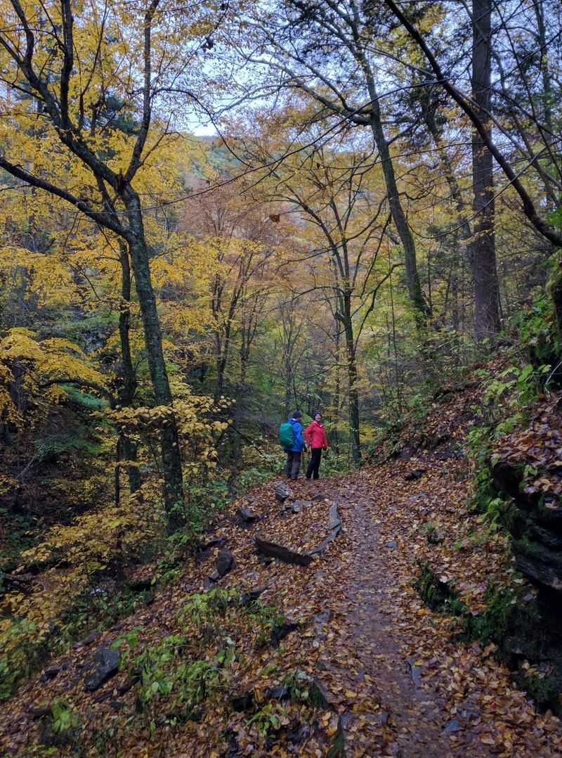 Late Summer Timing Beats Peak Season