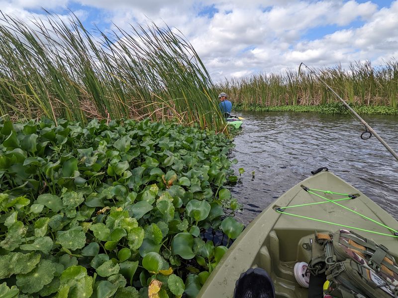 Launch A Boat Or Paddle Into The Marsh Launch A Boat Or Paddle Into The Marsh