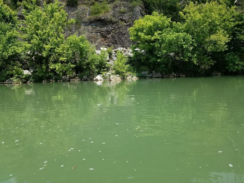 Wildlife Sightings Along Quiet Morning Currents