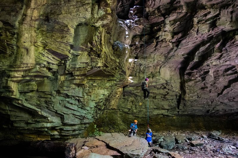 Wild Passage With Heart