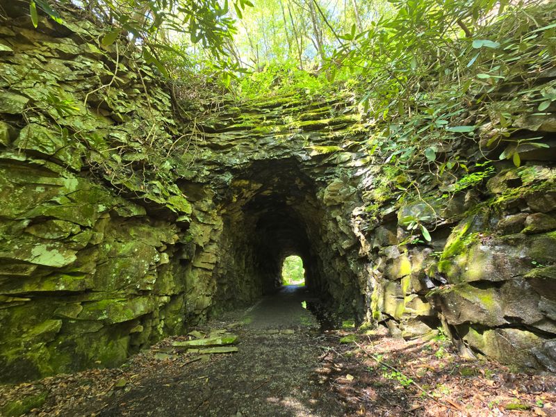 Kentucky Ridge State Forest