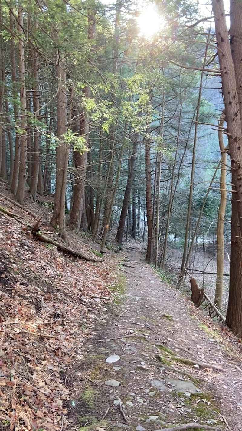 Golden Eagle Trail, Tiadaghton State Forest