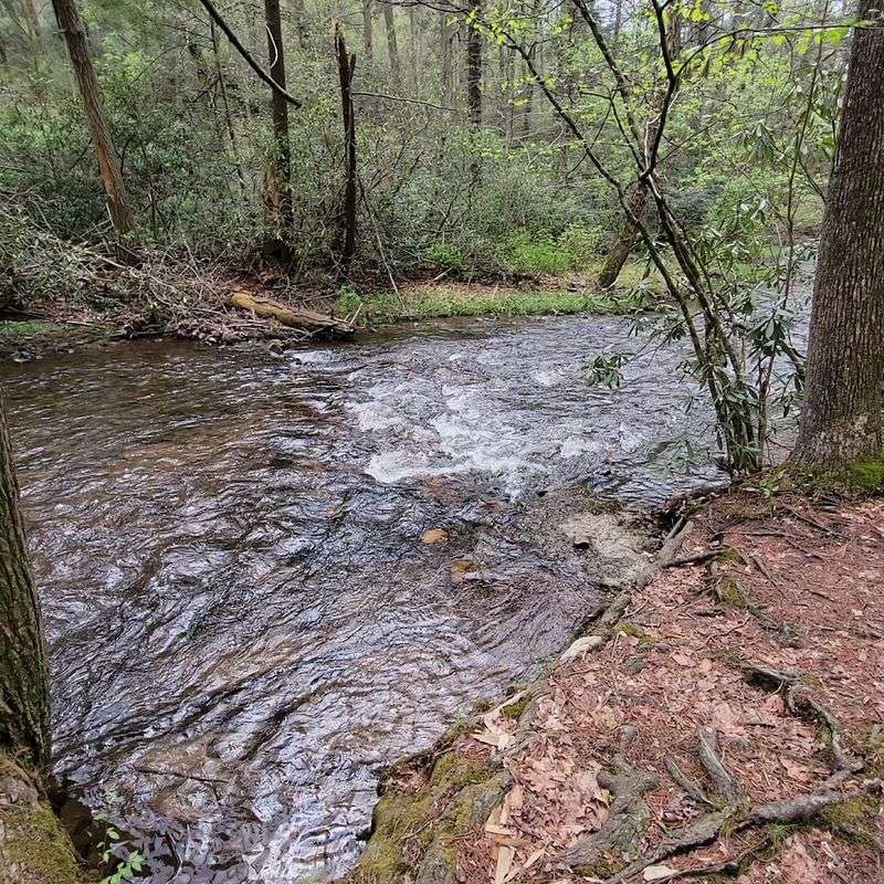 Caledonia State Park Campground, Fayetteville
