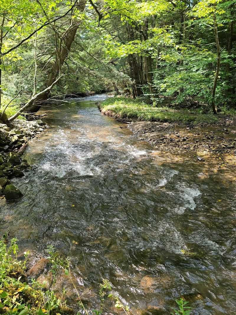 Prouty Place State Park, Sullivan County, Pennsylvania