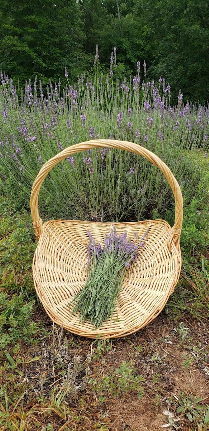 Staff Who Actually Care About Your Experience